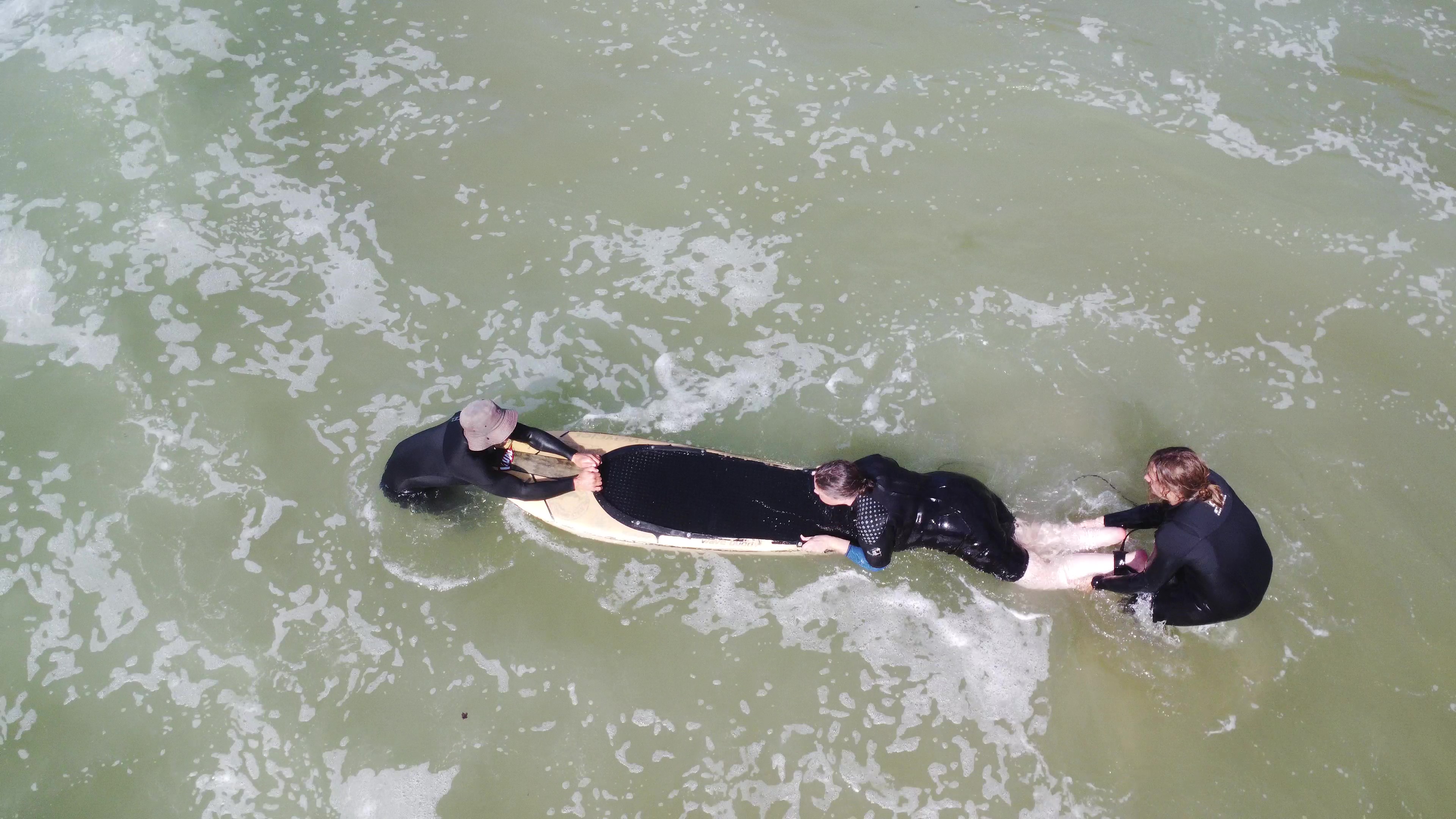 Vic Bay adaptive surf clinic (86) Vic Bay adaptive surf clinic (86)