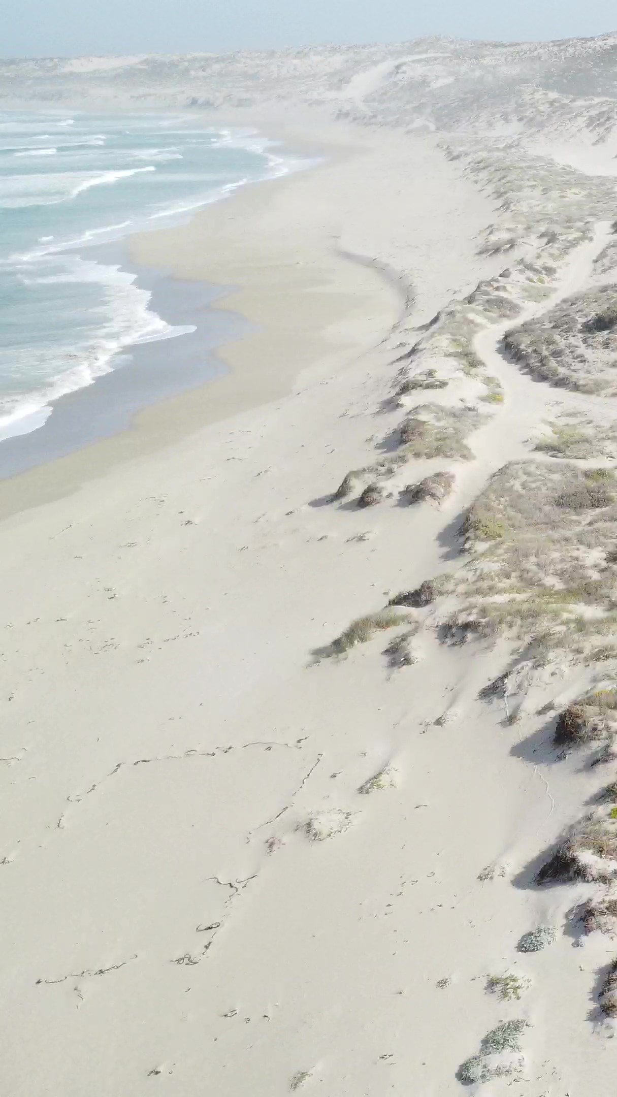 Tabakbaai tt 19 Feb 2025 (15)