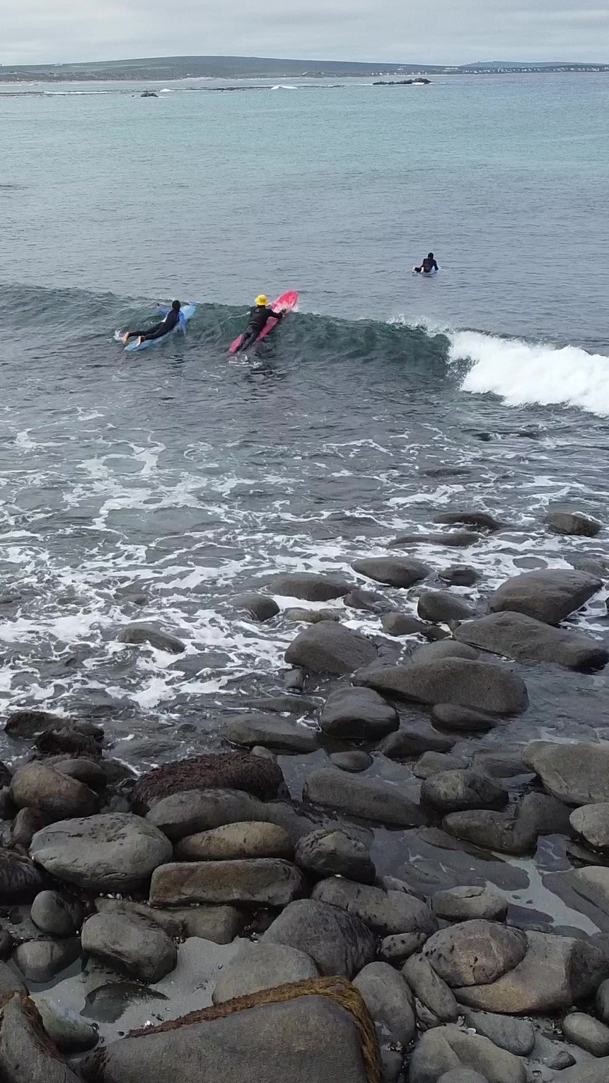 GromSurf Trekoskraal (4)